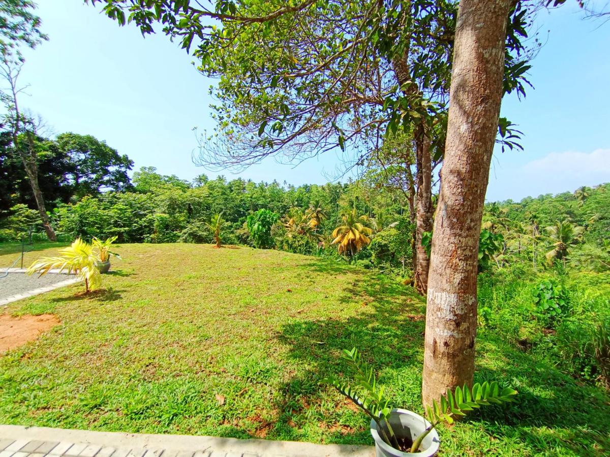 Luxury Peak Villa - B&B