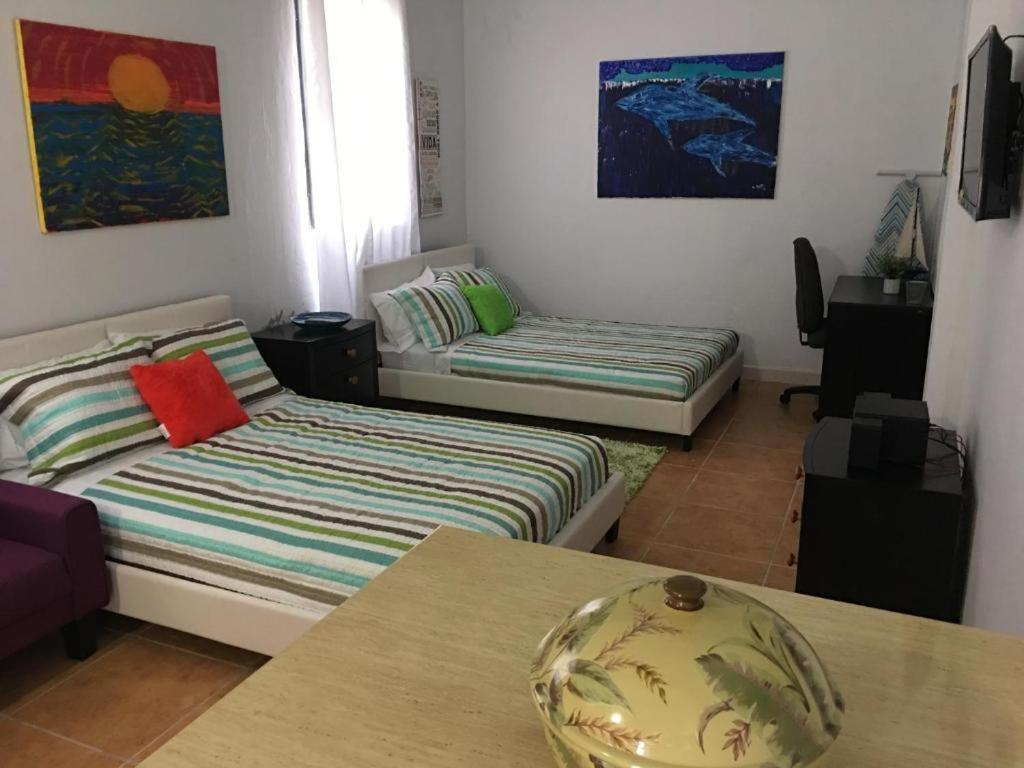 MAS102 Manati Amaizing Studio - B&B Manati