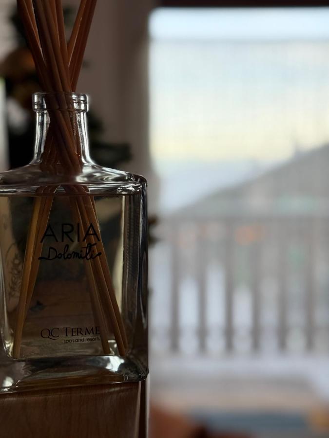 COSTALUNGAHOUSE TrekkingBikeSki selfcheck-in apartment - B&B Carezza