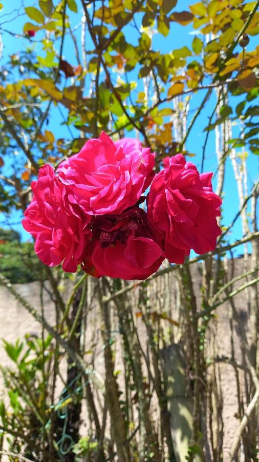 Cabanas LA CASITA HOSPEDAGEM FAMILIAR - Bed and Breakfast Navegantes