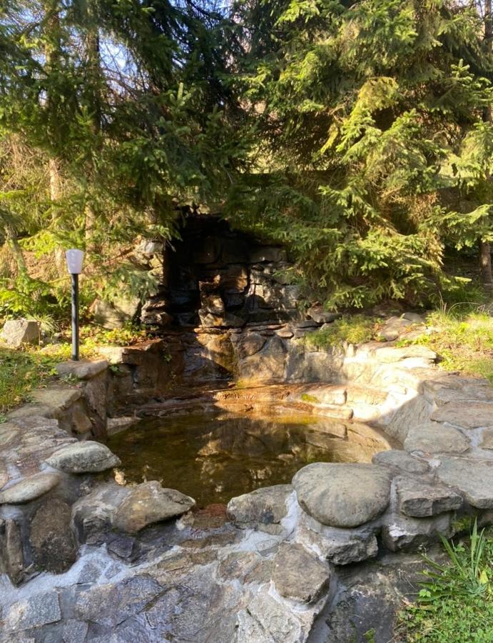 CypiSówka - B&B Nowy Targ