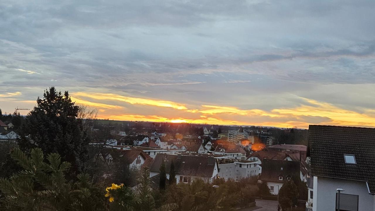 Ferienwohnung Bad Bergzabern - Ferienwohnung Bad Bergzabern