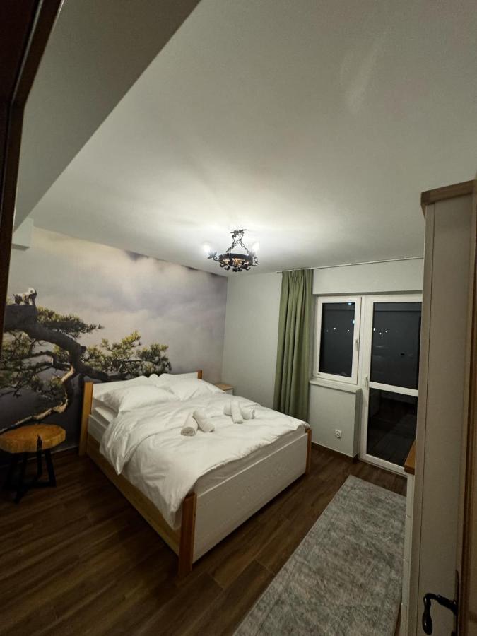Appartamento con 2 Camere da Letto