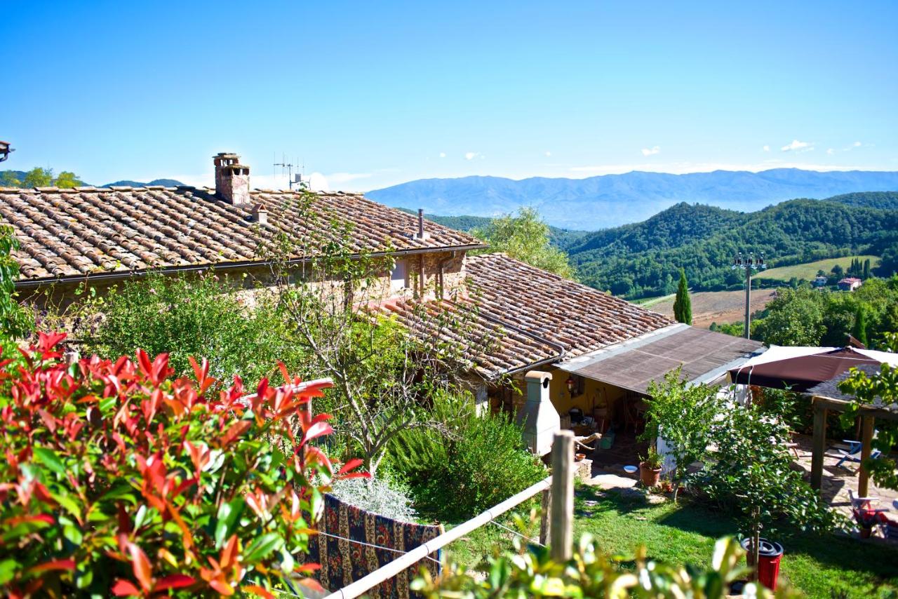 B&B Greve in Chianti - Lionforti Da Vico - Bed and Breakfast Greve in Chianti