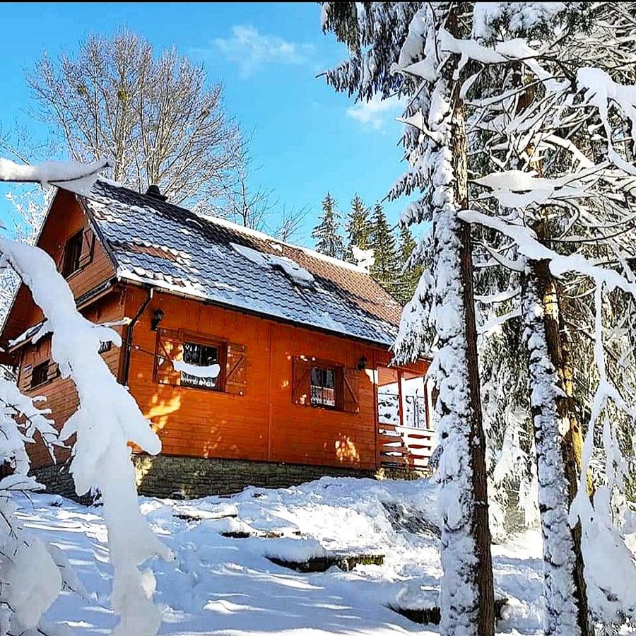 Domek Górski Promyk,Wisła - Ferienwohnung Wisla