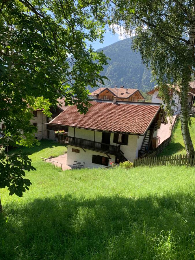 Baita Irma & Casa Nino- Miniappartamenti - B&B