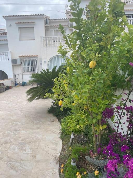 Casa Ari Cautivador - Alfaz del Pi - B&B