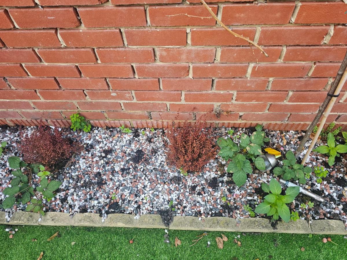 A Home Away From Home - B&B Londres