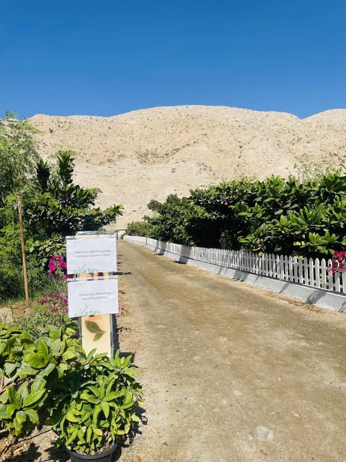 Farm house, RAK - Bed and Breakfast