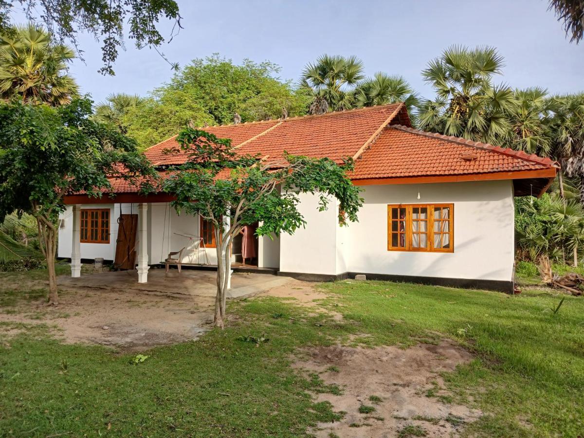 The Palmyrah garden and Resort - Chambres d’hôtes