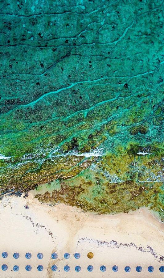 Elena front beach Apt - B&B Ayia Napa