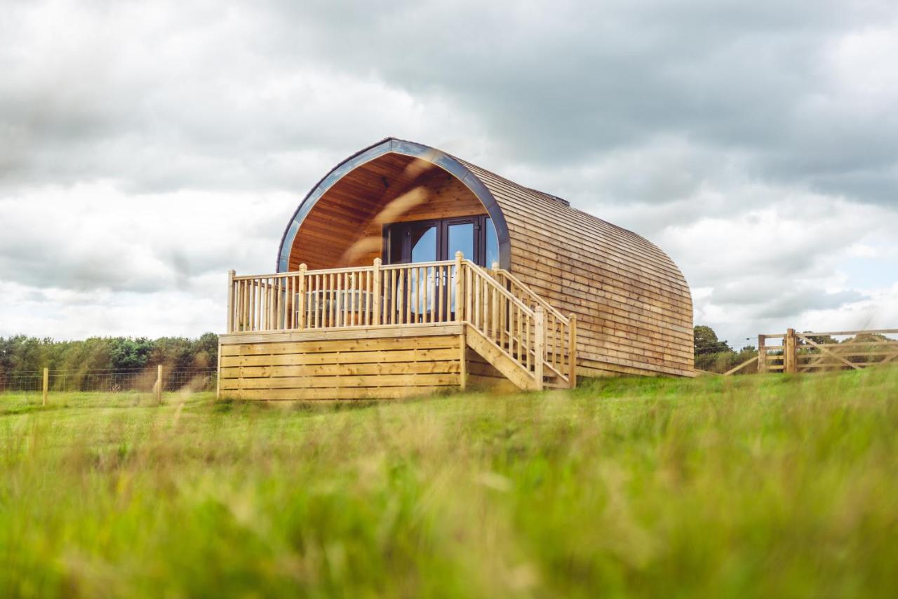 Secluded Luxury Cabins with stream, stargazing, walks and nature - Fell Farm Hideaway - Chambres d’hôtes Colwell