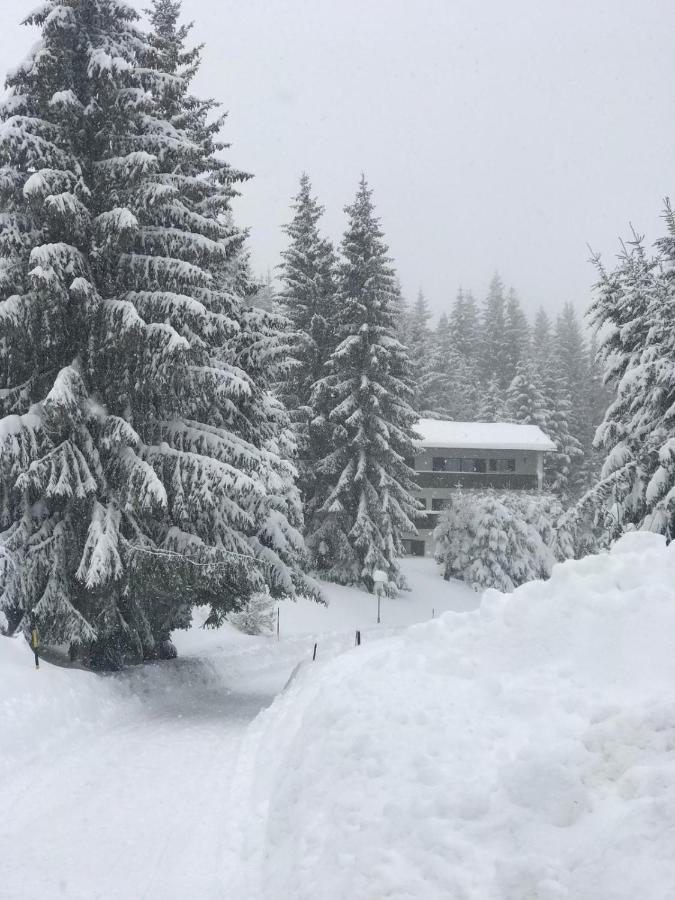Koralpen Appartement - B&B