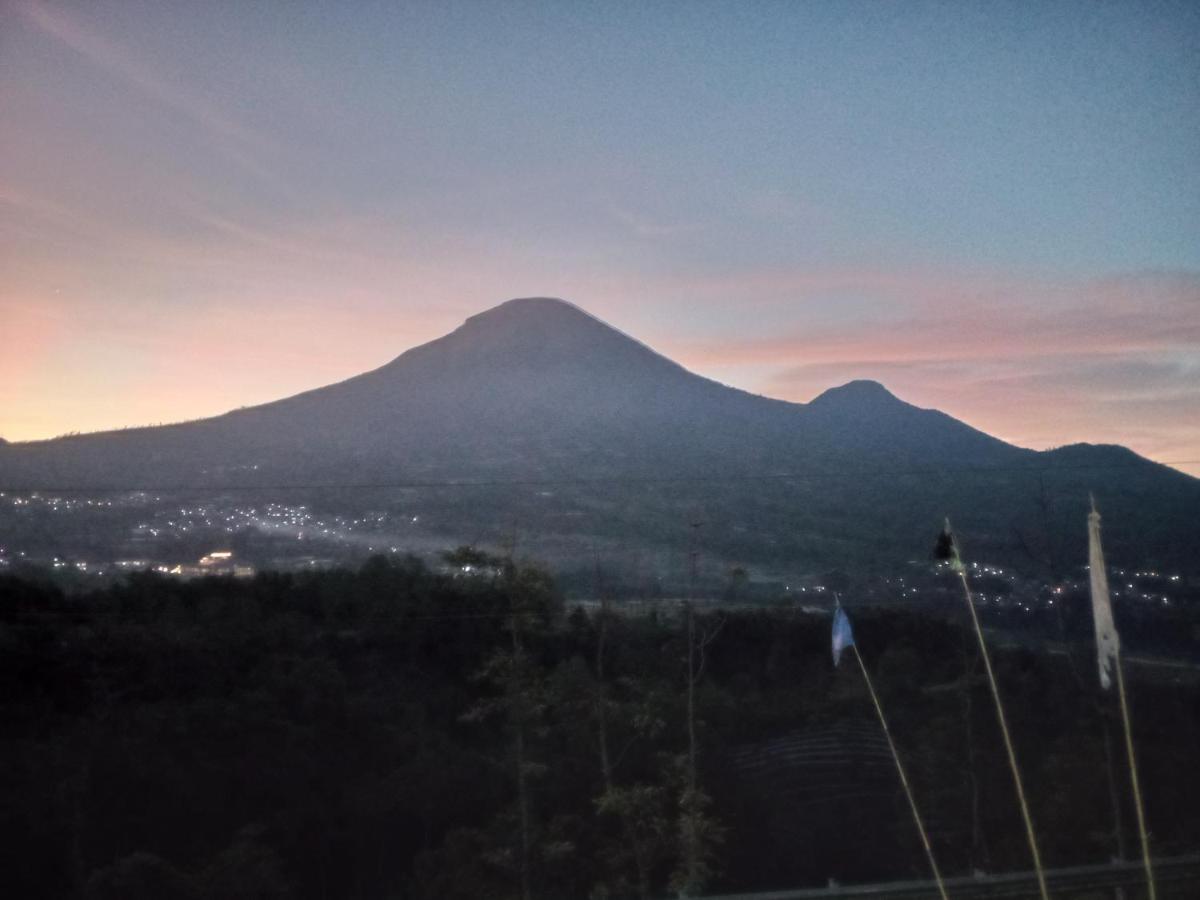 Filla Cabin AF - B&B Kejajar