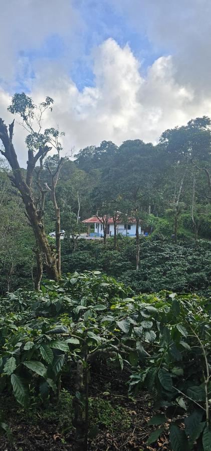 Vintara Homestay - B&B Madikeri