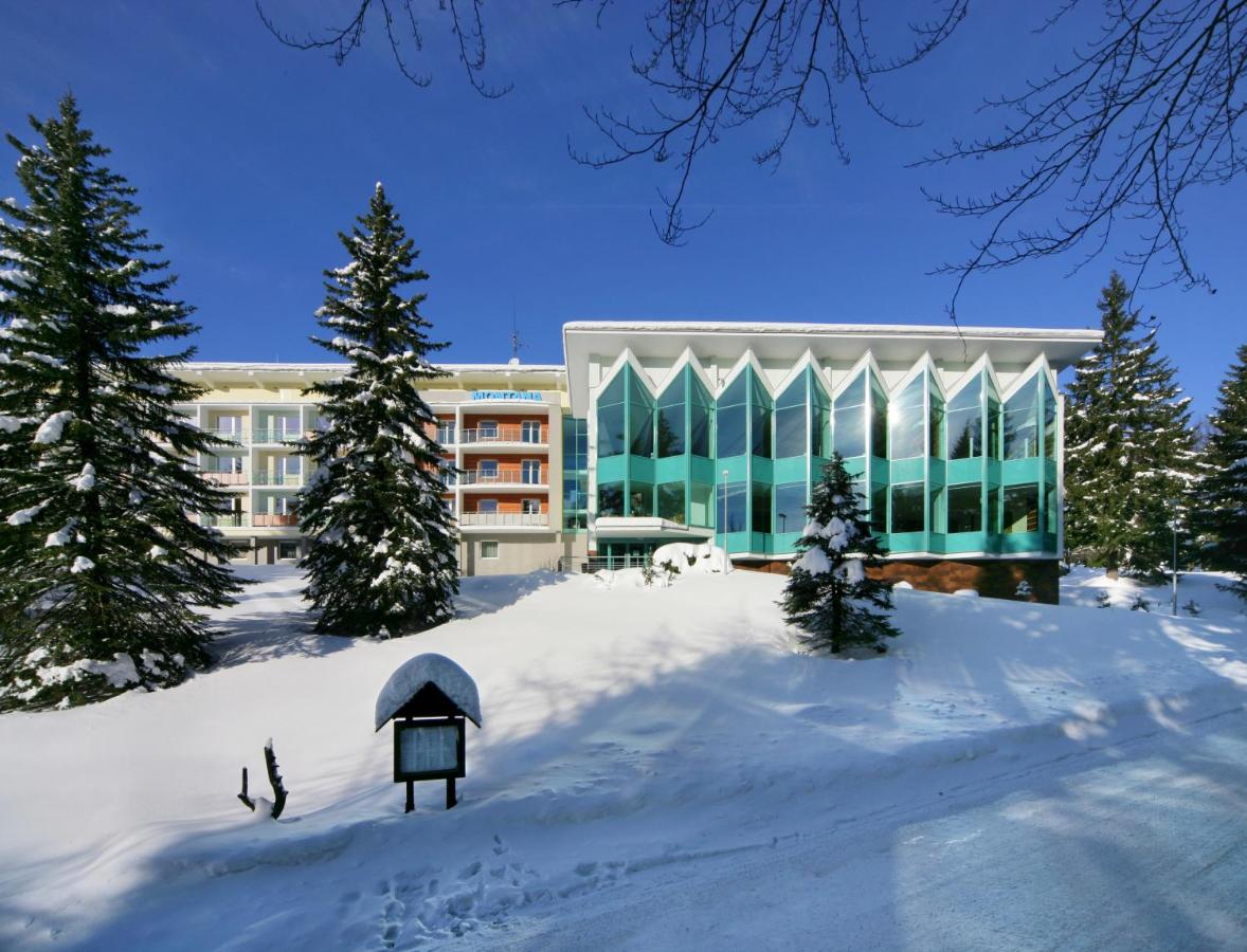 Interhotel Montana