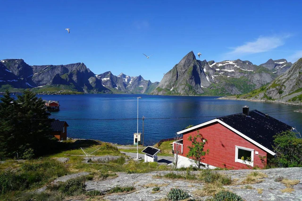 Lofoten panoramic luxury home with sauna - B&B