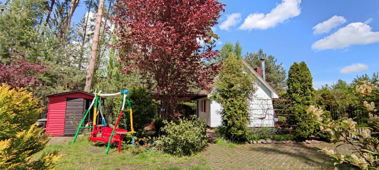 Domek na Czapli - Bed and Breakfast