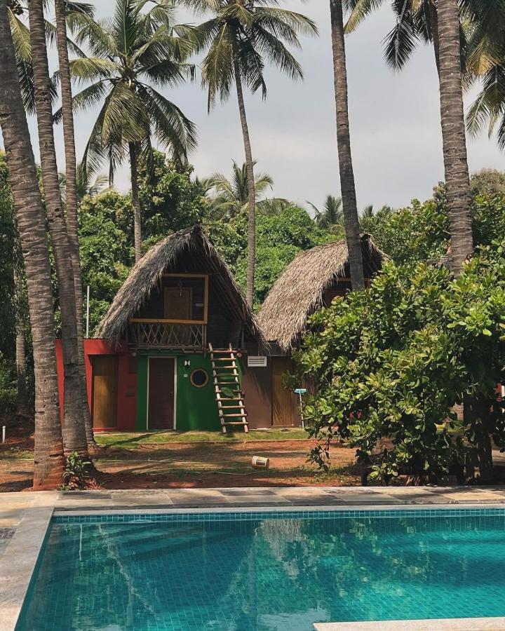 Nature swimming pool resort - B&B