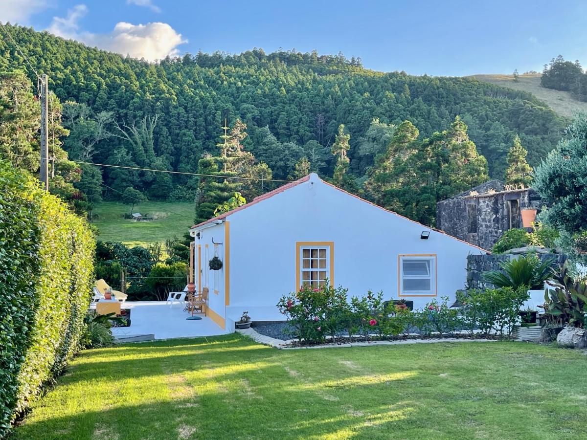 Casa do Bicho Pau - Bed and Breakfast