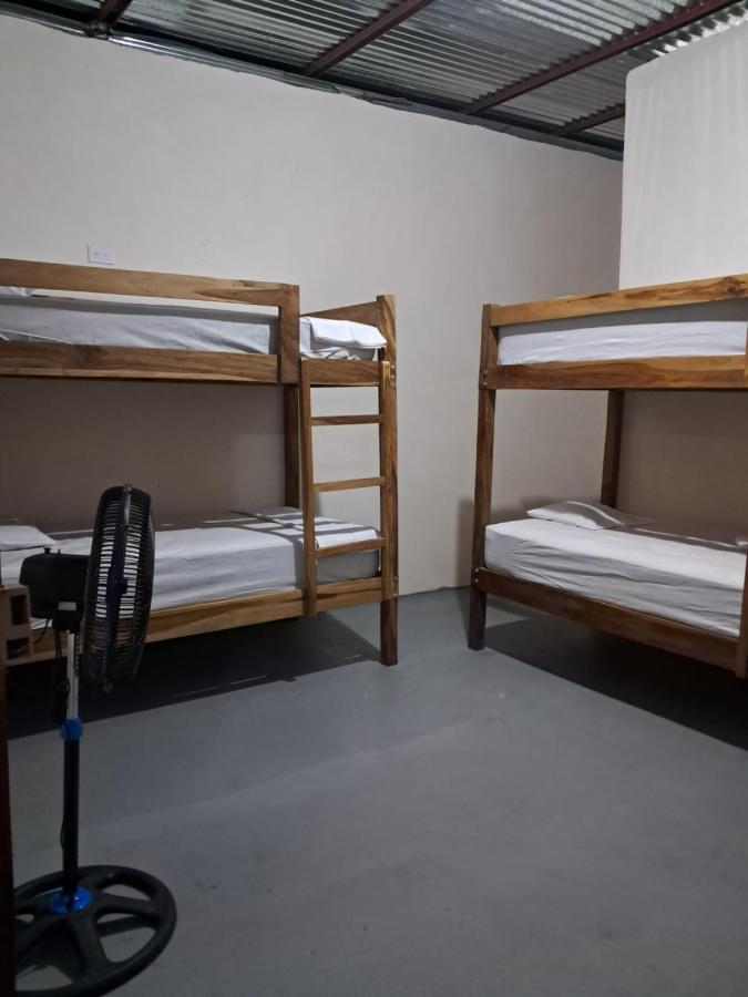 Bed in 4-Bed Dormitory Room