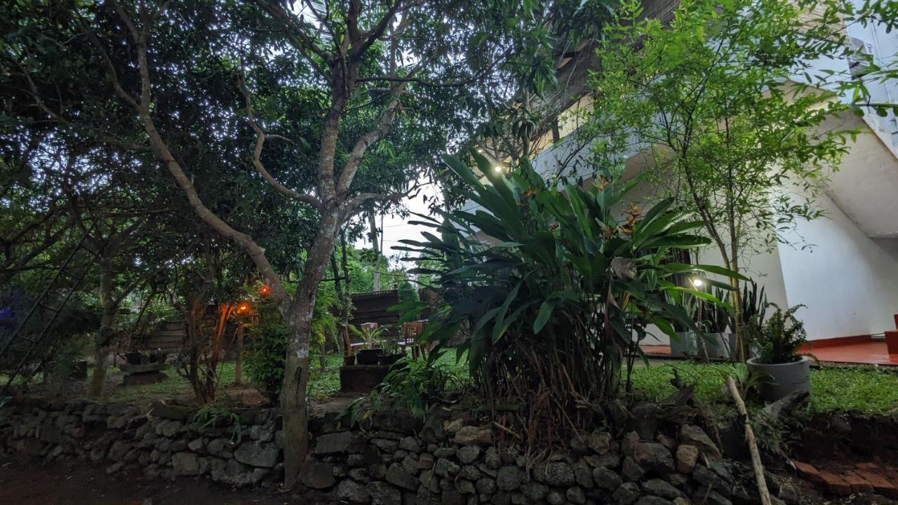 Mango tree view holiday house - B&B Tangalle