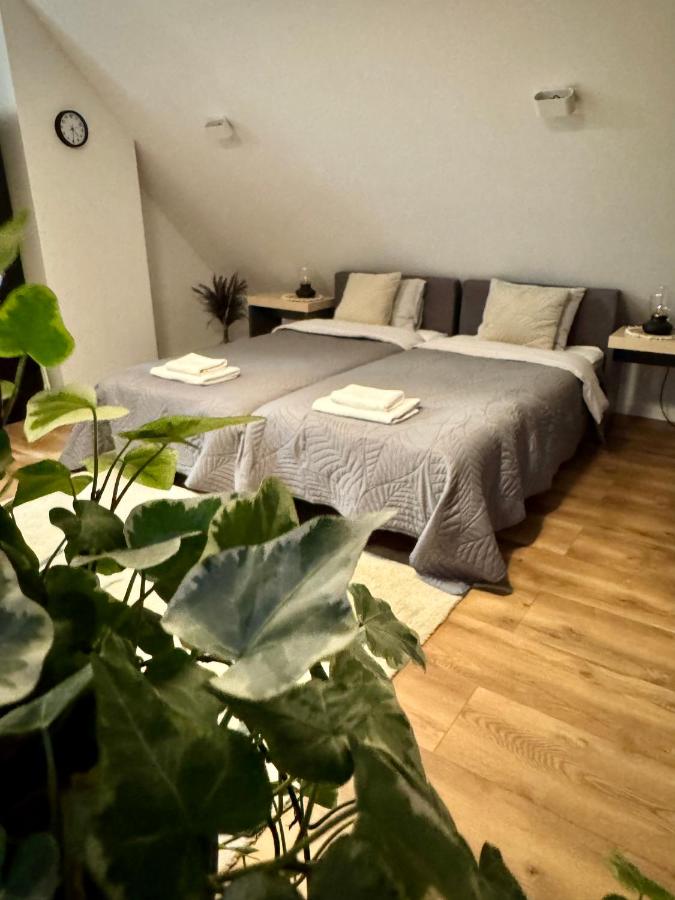Apartamenty Astor - Księżycowy - B&B