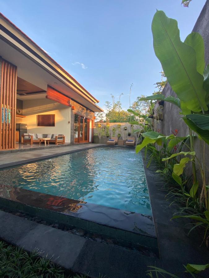 Livin House - B&B