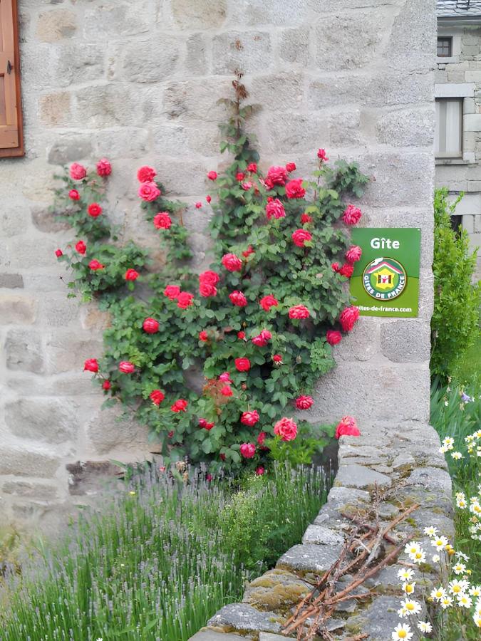 Maison de charme avec vue sur la montagne à Albaret-Sainte-Marie - B&B Albaret-Sainte-Marie