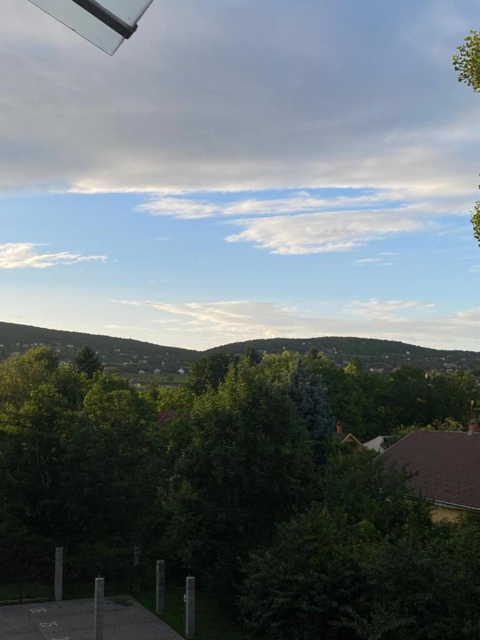 Vízipók apartman - Ferienwohnung Csopak