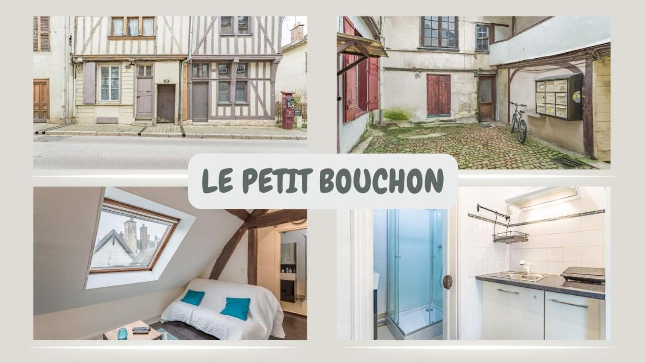 Le Petit Bouchon - Studio - Hypercentre - Chambres d’hôtes Troyes