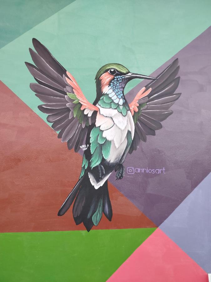 Hostal mil colores - B&B Guacamayas