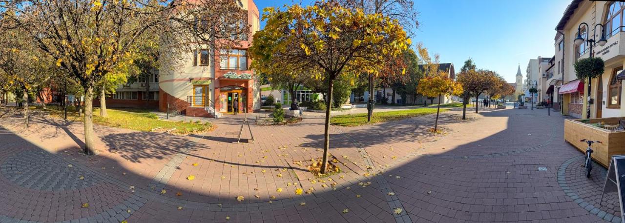 Viola Apartman - Bed and Breakfast