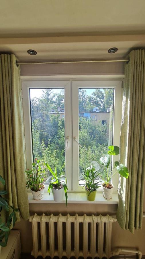 Cozy home - B&B