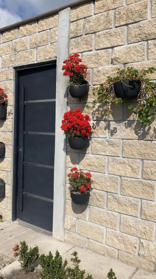 Family Room with Garden View