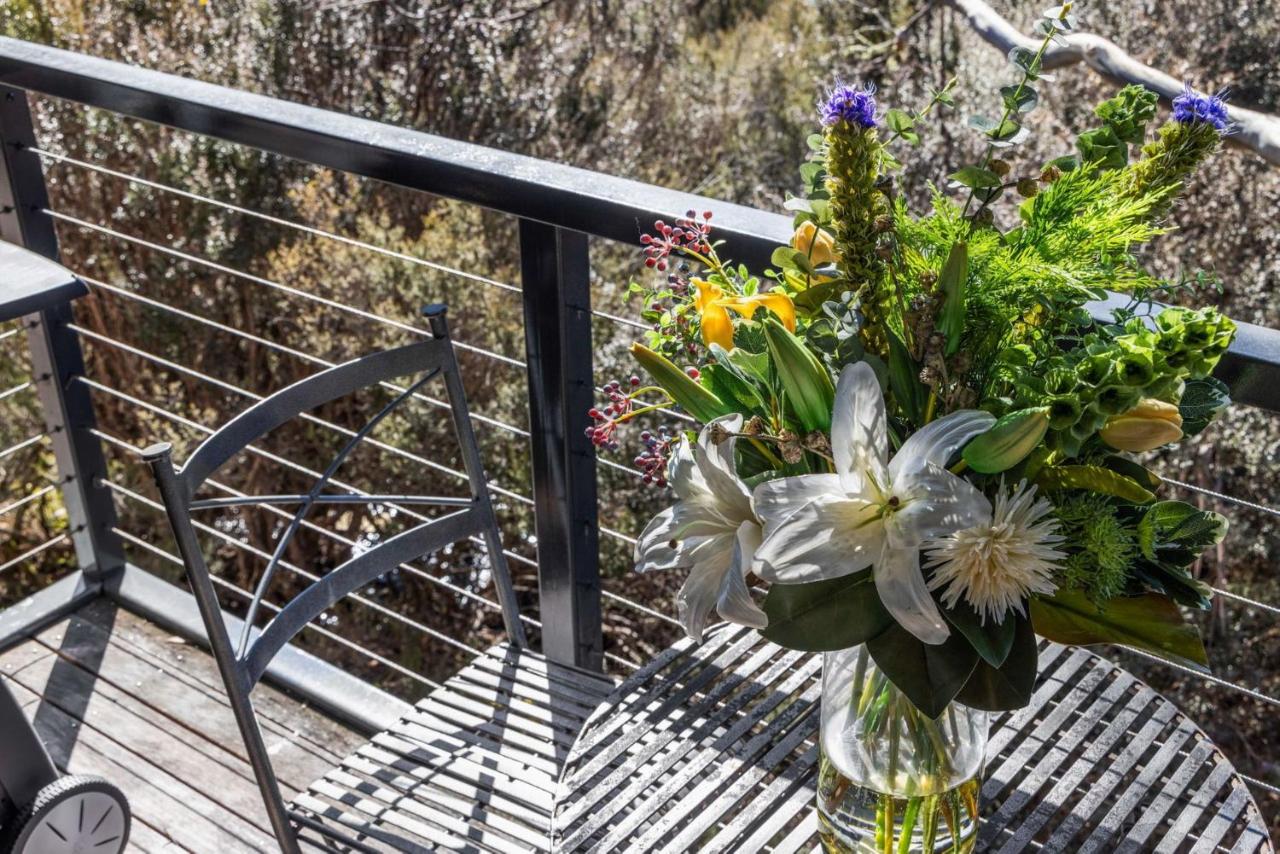 Albina - Chambres d’hôtes Thredbo