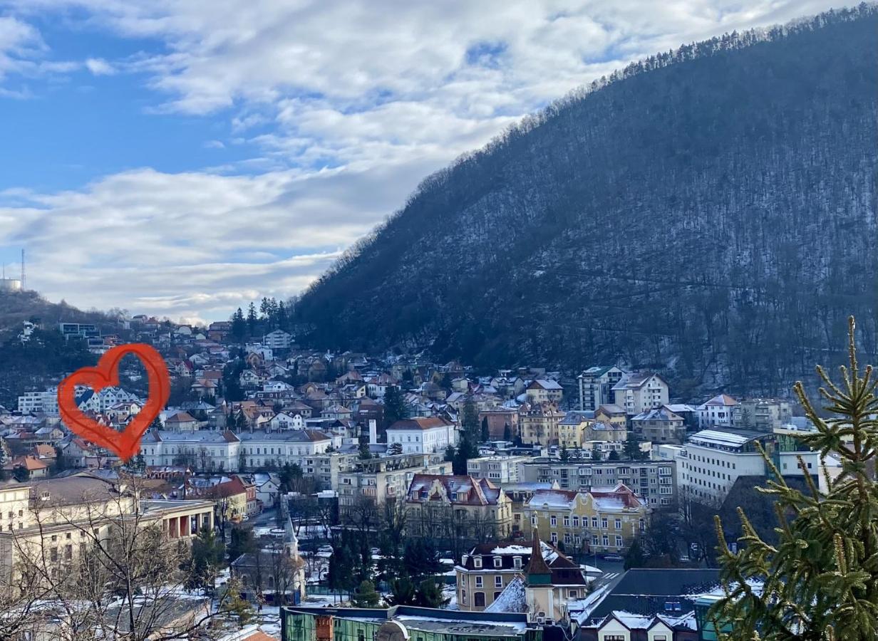 Uptown Monkey 7 min walk to Republicii street - B&B Braşov