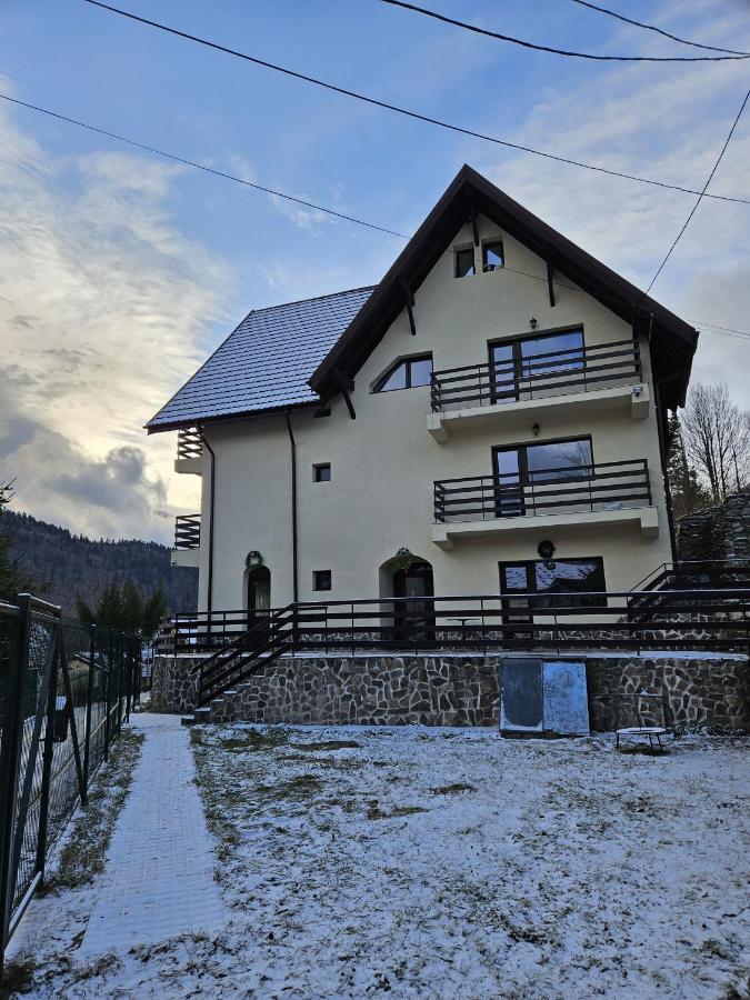 Villa Ski Azuga - B&B