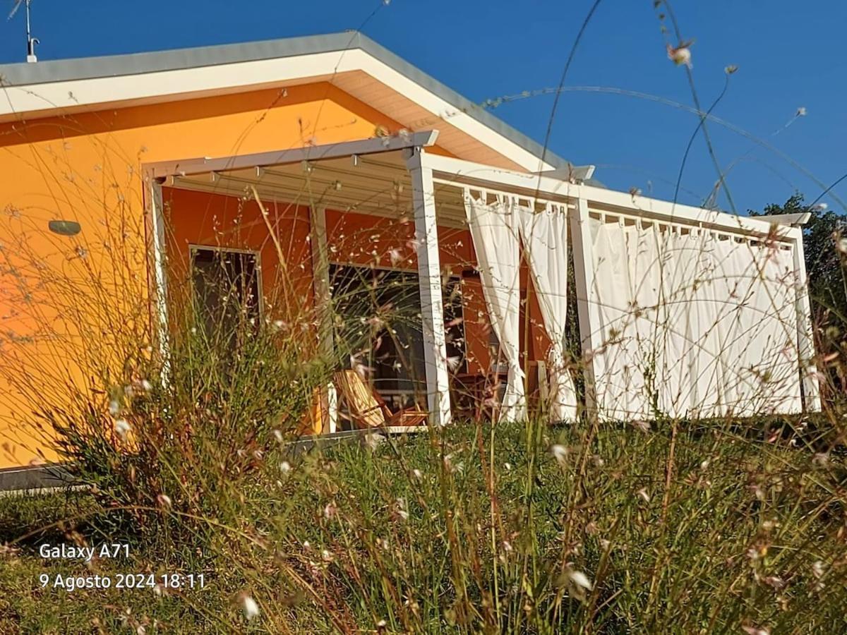 Villa Parruccia with a pool and a panoramic view - B&B Tolentino