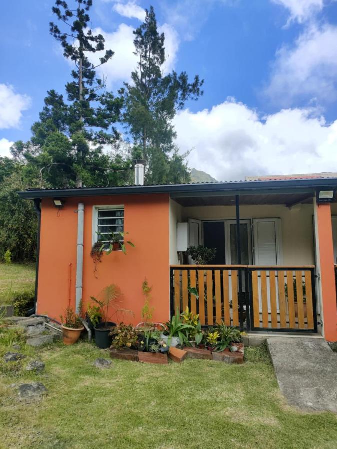 Le Palmiste Enchanté - B&B