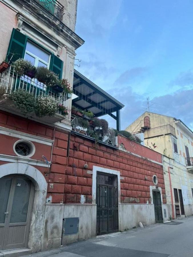Appia Apartment - Camera Fiorellino - B&B Santa Maria a Vico