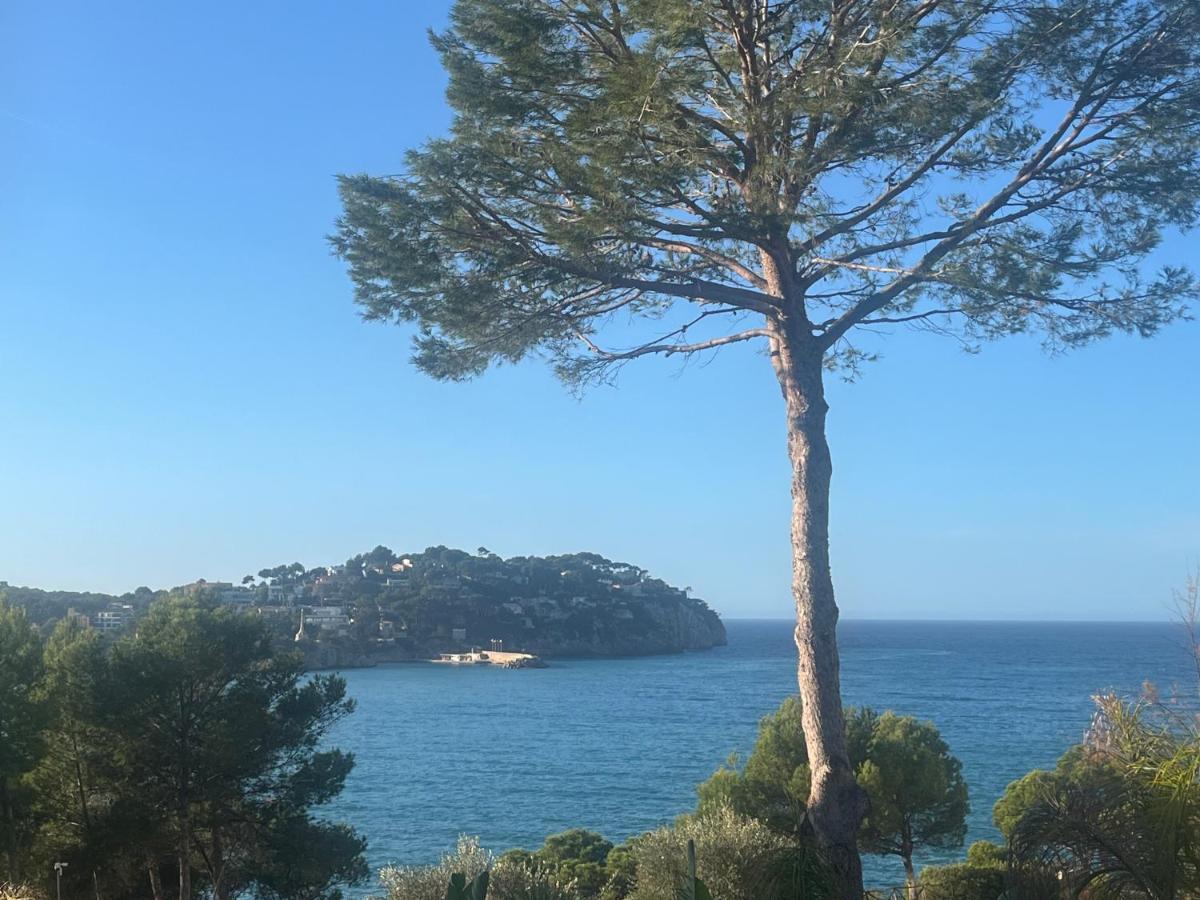 Peace & nature appartement - Ferienwohnung Costa de la Calma