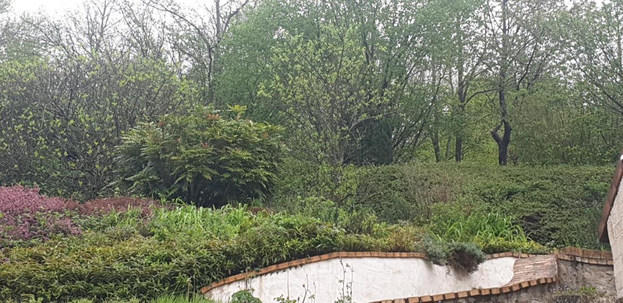 Chez Philippe et Agnès Studio - B&B Vauciennes