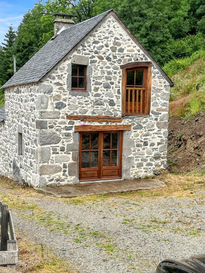 Maison de campagne spacieuse à Chastreix avec cheminée - B&B