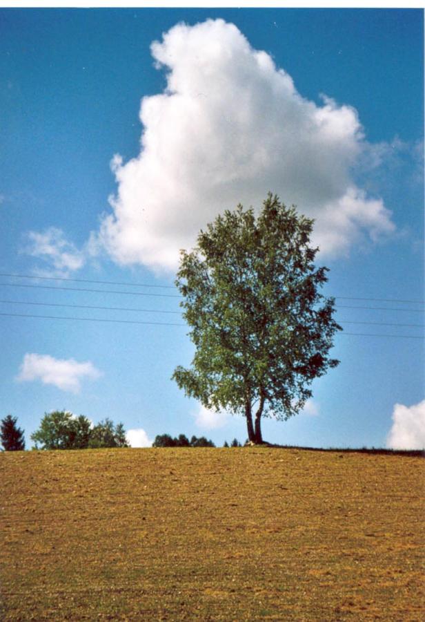 Ferienhof Kriechbaumer - Chambres d’hôtes Schönau im Mühlkreis