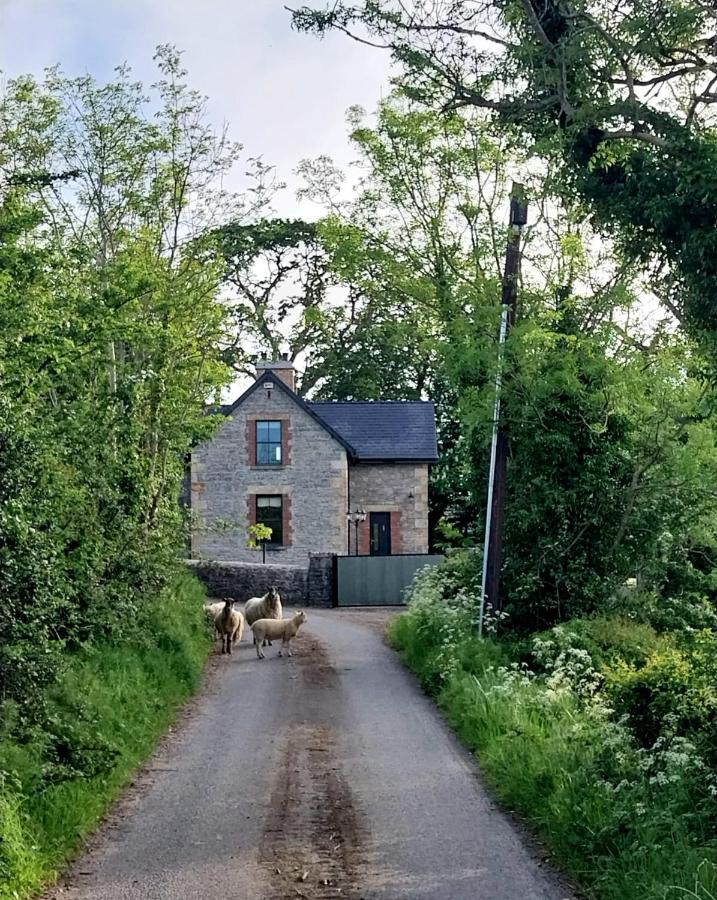 Chestnut Cottage Leitrim - Ferienwohnung