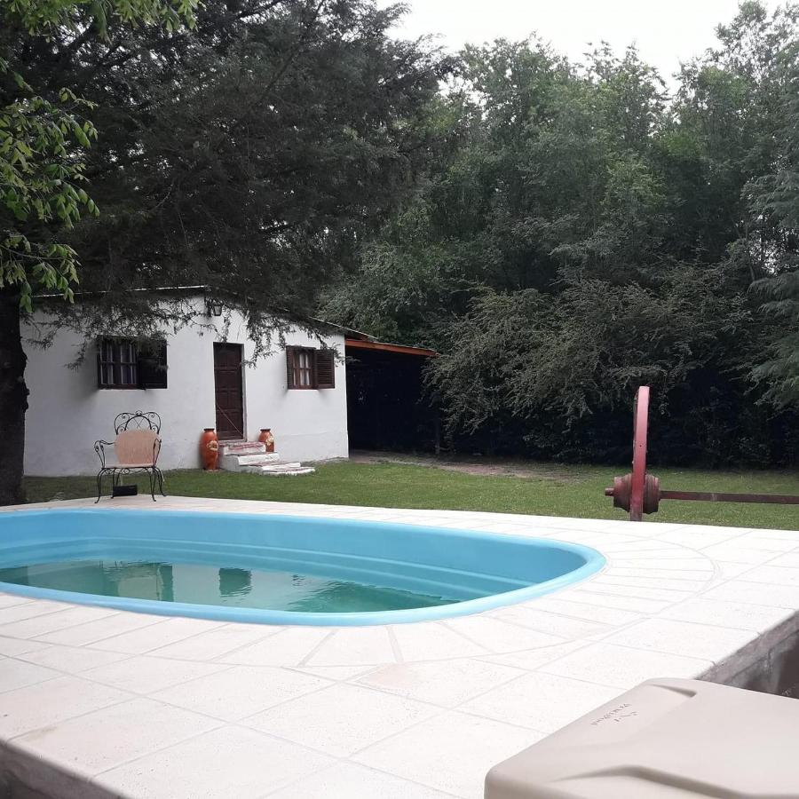 Simba - B&B Potrero de Garay