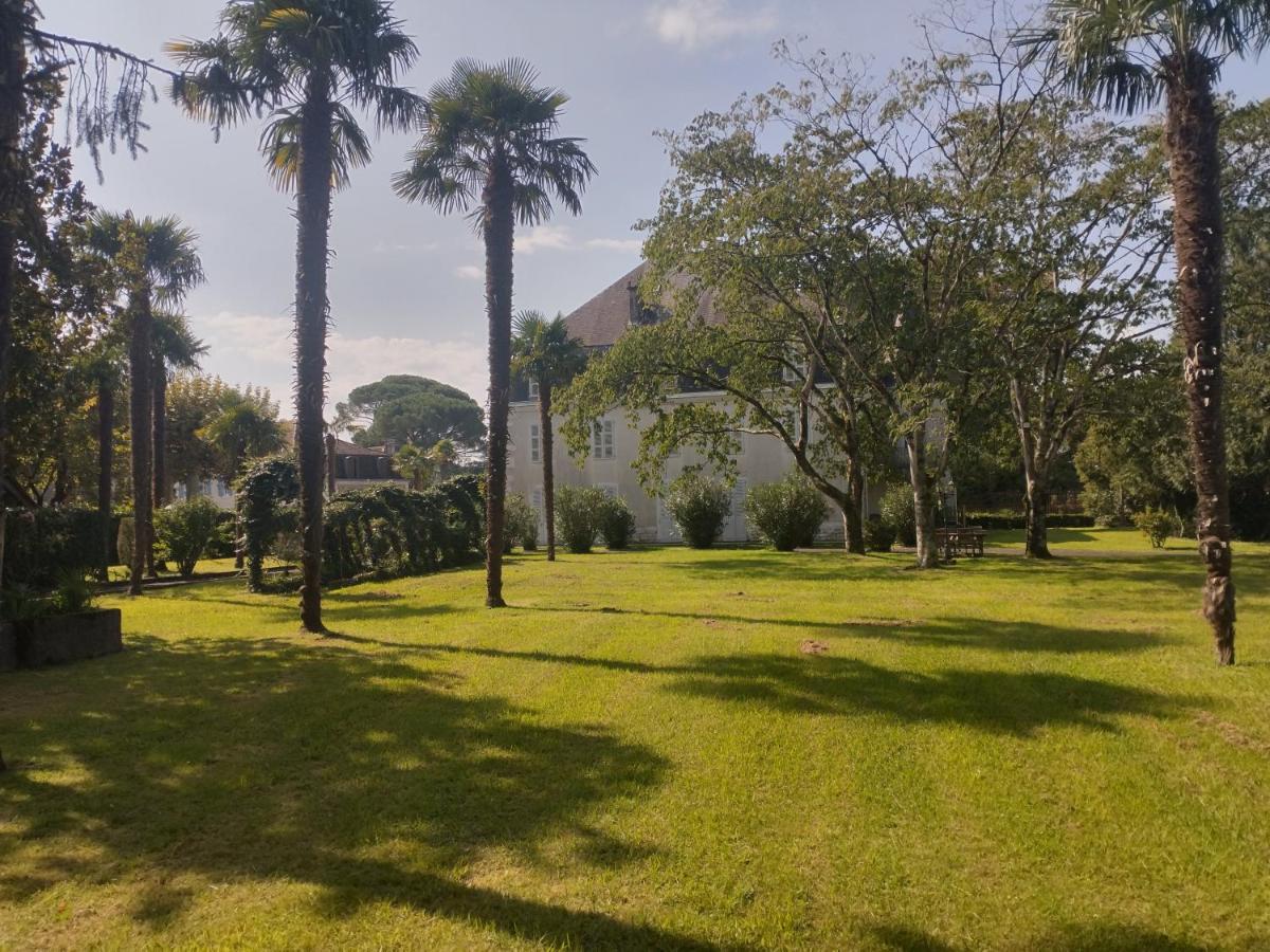 Château l'haurie with large garden, swimming pool and games room - B&B Rivehaute
