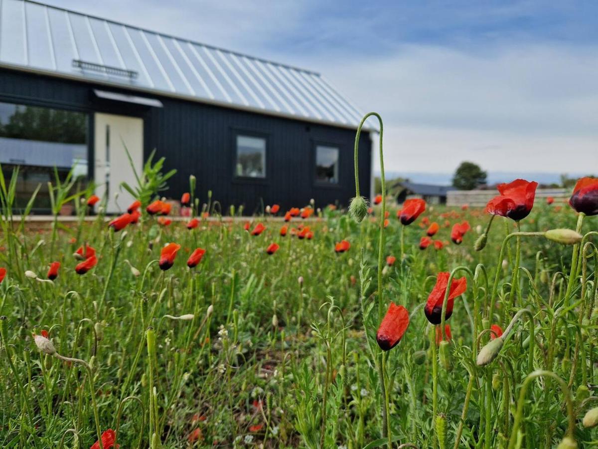 Visby Villas - Bed and Breakfast Visby
