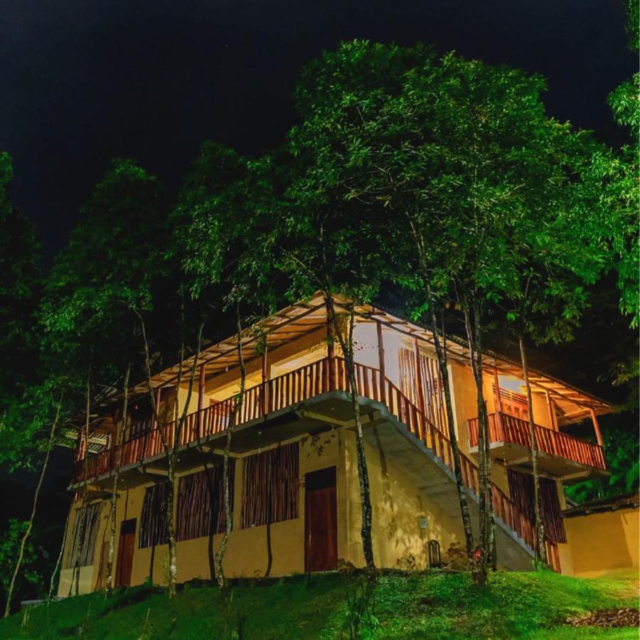 Sinharaja Eco Lodge - B&B Neluwa